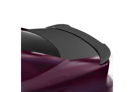 Vicrez Trunk Wrap Vinyl vz102278 | Dodge Charger 2011-2023